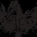 Amenra - Mass II LP